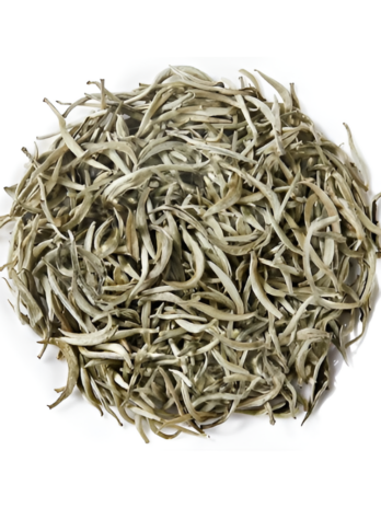 Silver Needles White Tea